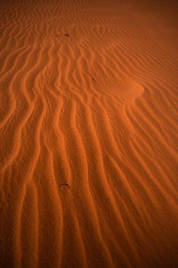 Hotel Stars Life Camp-Tour Wadi Rum Exterior foto